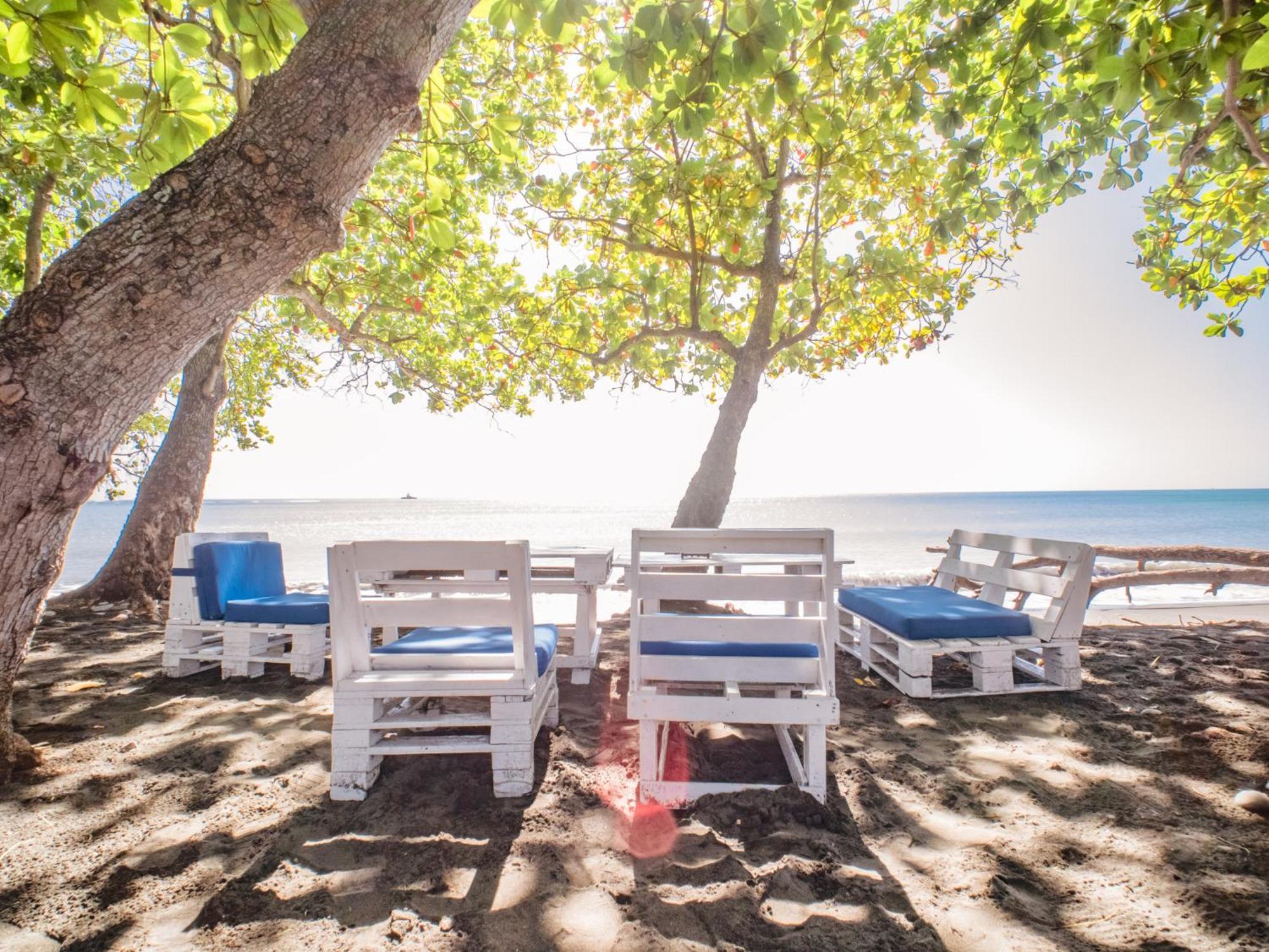 Coconut Paradise Beach Hotel Juan Baron エクステリア 写真